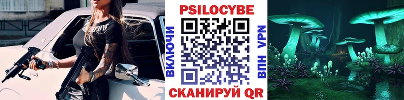 Псилоцибиновые грибы Cubensis  Купить  Норильск 